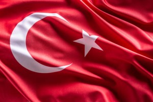 Nükleerde yeni santrale yeni model